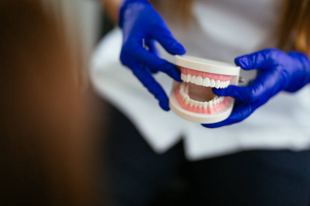 Trusted Lisbon, ME  Holistic Dental Services Experts